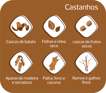 castanhos.webp