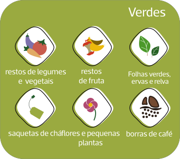 verdes.webp