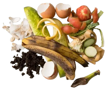 image1-7.webp